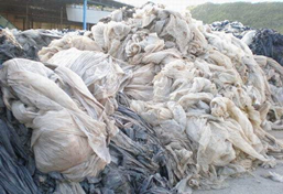 廢薄膜破碎機(jī)