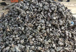 汽車(chē)外殼撕碎機(jī)