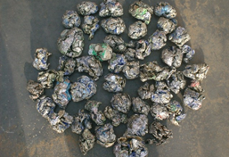 易拉罐撕碎機(jī)