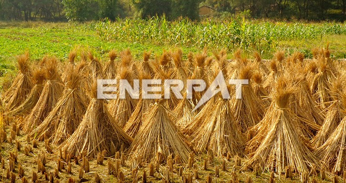 秸稈打包機(jī)