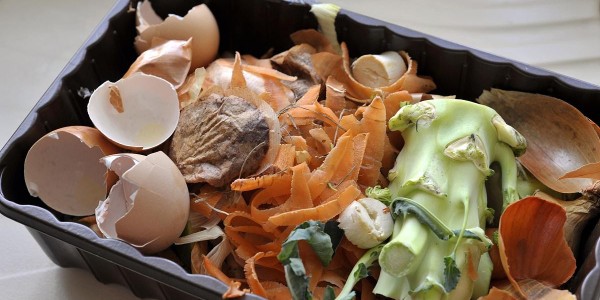 非居民廚余垃圾處理計(jì)量收費(fèi)來了！廚余垃圾怎么處理？