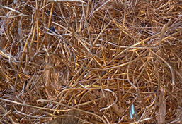 噸包袋撕碎機(jī)