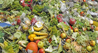 餐廚垃圾分選機(jī)